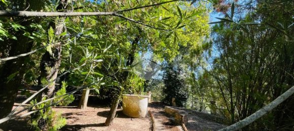 2 Schlafzimmer Villa in Magliano Sabina, Italy, Nr. 359967 2