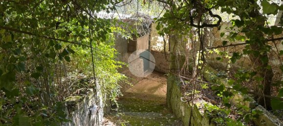 2 Schlafzimmer Villa in Magliano Sabina, Italy, Nr. 359967 11