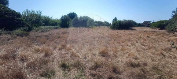 Terreno en Santiago do Cacem, Portugal 6500 m² No. 155680 16