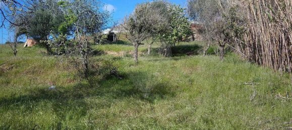 Terreno en Santiago do Cacem, Portugal 6500 m² No. 155680 27