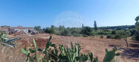 Terreno en Santiago do Cacem, Portugal 6500 m² No. 155680 19