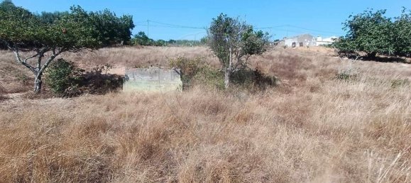 Terreno en Santiago do Cacem, Portugal 6500 m² No. 155680 8