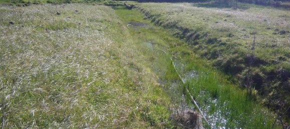 Terreno en Santiago do Cacem, Portugal 6500 m² No. 155680 6