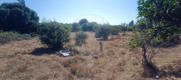 Terreno en Santiago do Cacem, Portugal 6500 m² No. 155680 7