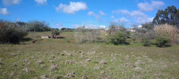Terreno en Santiago do Cacem, Portugal 6500 m² No. 155680 28