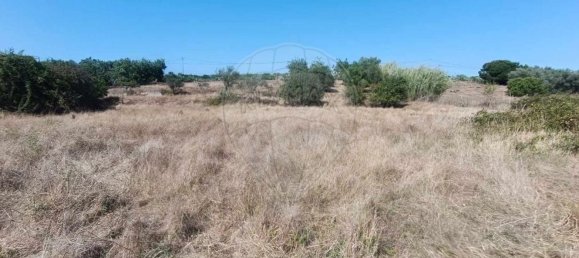 Terreno en Santiago do Cacem, Portugal 6500 m² No. 155680 25