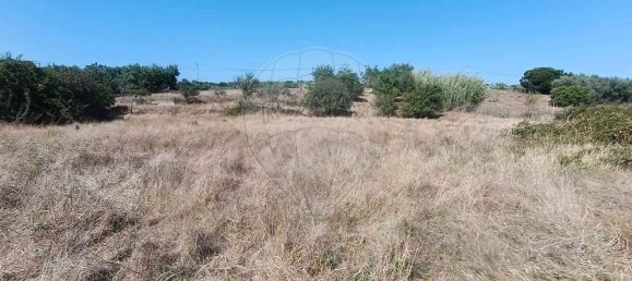 Terreno en Santiago do Cacem, Portugal 6500 m² No. 155680 5