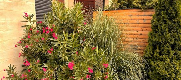 6 rooms Townhouse in Mannersdorf am Leithagebirge, Austria No. 201368 5