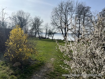 1 Schlafzimmer Bungalow in Mecklenburgische Seenplatte, Germany, Nr. 177901