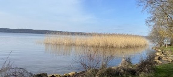 1 Schlafzimmer Bungalow in Mecklenburgische Seenplatte, Germany, Nr. 177901 2