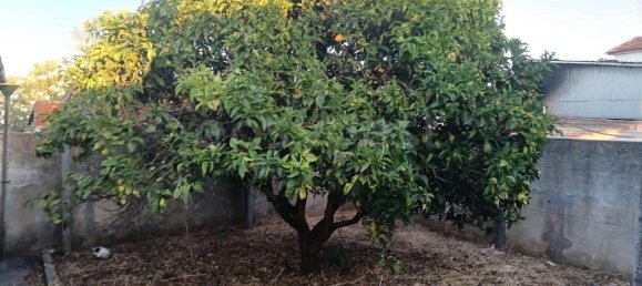 49m² Warehouse in Nazare, Portugal No. 306783 9