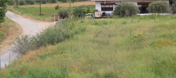 1072m² Property in Chalkidiki, Greece No. 6328 15