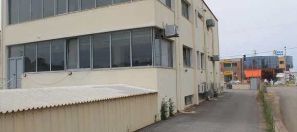 1072m² Property in Chalkidiki, Greece No. 6328 7