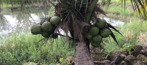 Propiedad comercial en Tha Muang, Thailand 9600 m² No. 8214 7