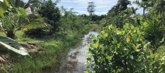 Propiedad comercial en Tha Muang, Thailand 9600 m² No. 8214 5