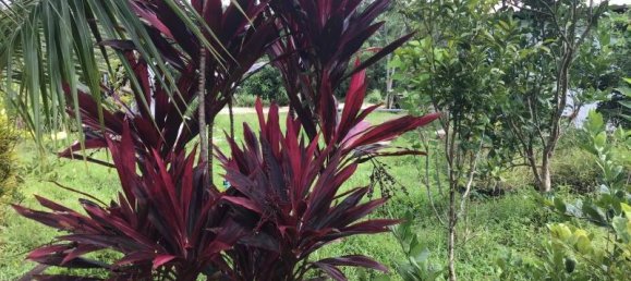 Propiedad comercial en Tha Muang, Thailand 9600 m² No. 8214 8