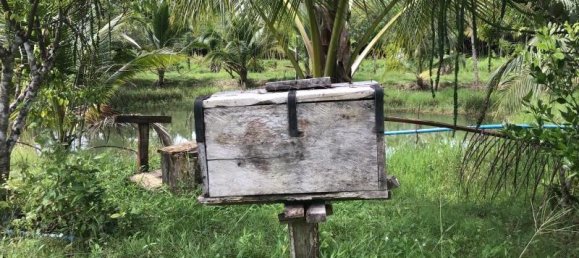 Propiedad comercial en Tha Muang, Thailand 9600 m² No. 8214 12