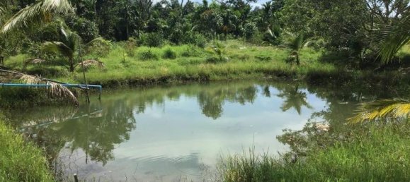 Propiedad comercial en Tha Muang, Thailand 9600 m² No. 8214 10