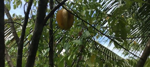 Propiedad comercial en Tha Muang, Thailand 9600 m² No. 8214 14