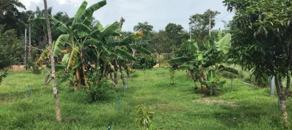 Propiedad comercial en Tha Muang, Thailand 9600 m² No. 8214 6