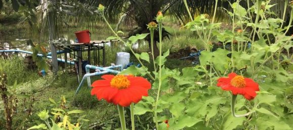 Propiedad comercial en Tha Muang, Thailand 9600 m² No. 8214 9