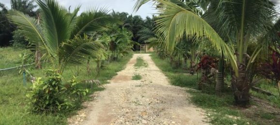 Propiedad comercial en Tha Muang, Thailand 9600 m² No. 8214 15