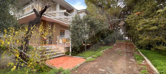 9 rooms Villa in Bitetto, Italy No. 28486 43