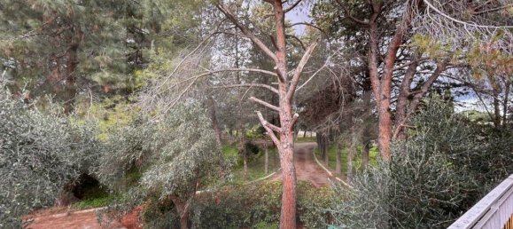 9 rooms Villa in Bitetto, Italy No. 28486 23