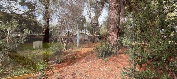 9 rooms Villa in Bitetto, Italy No. 28486 19