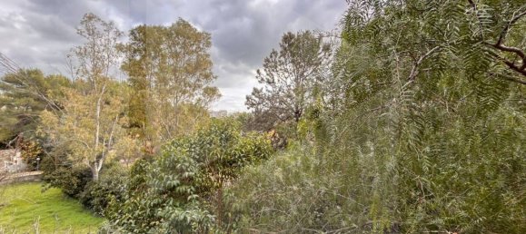 9 rooms Villa in Bitetto, Italy No. 28486 31