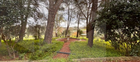 9 rooms Villa in Bitetto, Italy No. 28486 20