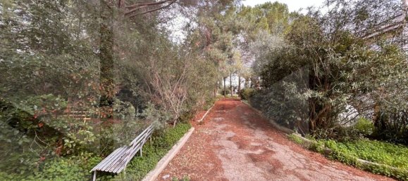 9 rooms Villa in Bitetto, Italy No. 28486 11