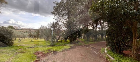 9 rooms Villa in Bitetto, Italy No. 28486 42