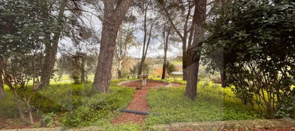 9 rooms Villa in Bitetto, Italy No. 28486 18