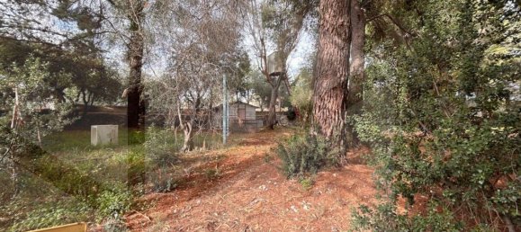 9 rooms Villa in Bitetto, Italy No. 28486 16