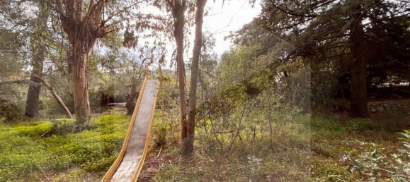 9 rooms Villa in Bitetto, Italy No. 28486 15