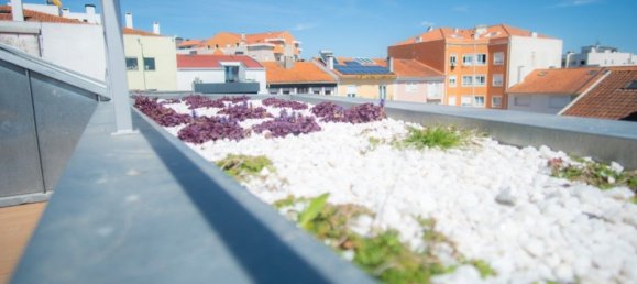 4 Schlafzimmer Haus in Aveiro, Portugal, Nr. 188016 24