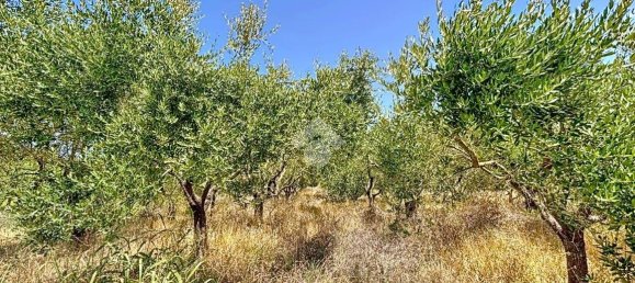 5 chambres Maison à Calcinaia, Italy No. 271320 32