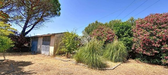 5 chambres Maison à Calcinaia, Italy No. 271320 5