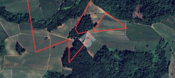 20-salle Maison à Dogliani, Italy No. 19279 46