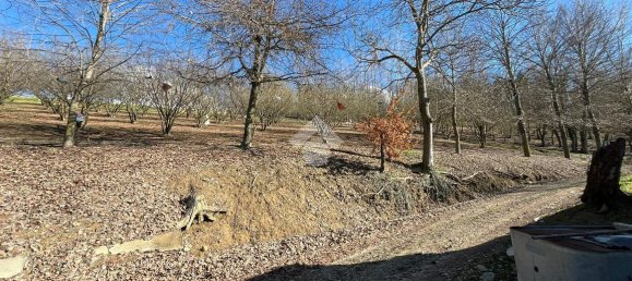 20-salle Maison à Dogliani, Italy No. 19279 32