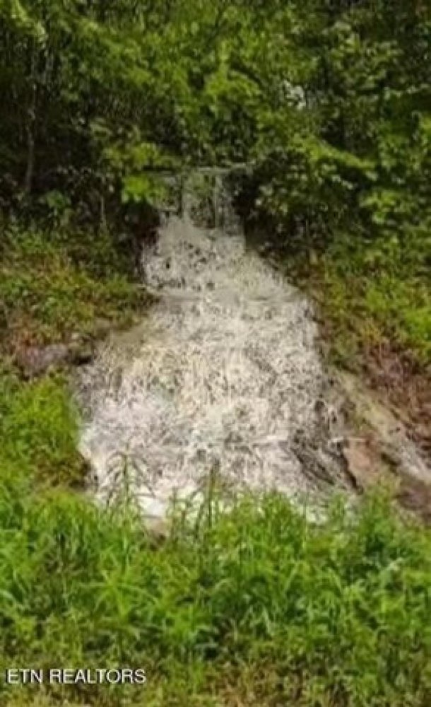 3 bedrooms House in Pineville, USA No. 423707