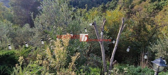 5-Zimmer Haus in Camaiore, Italy, Nr. 140866 20