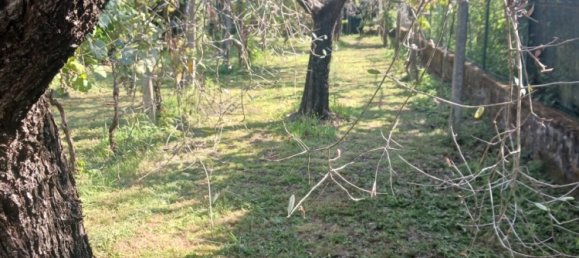 3 bedrooms Villa in Carrara, Italy No. 48161 8