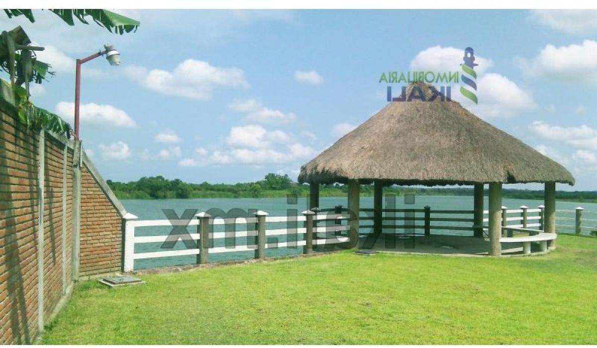  Land in Veracruz, Mexico No. 206548