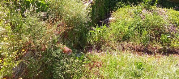 Terrain à Caminha, Portugal 2310m² No. 58691 8