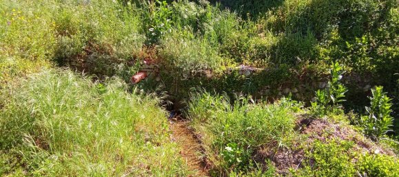 Terrain à Caminha, Portugal 2310m² No. 58691 4