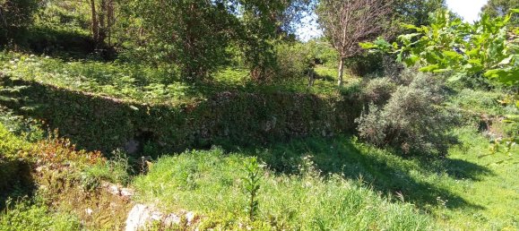 Terrain à Caminha, Portugal 2310m² No. 58691 7