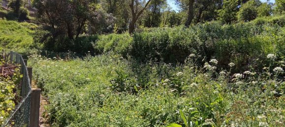 Terrain à Caminha, Portugal 2310m² No. 58691 12