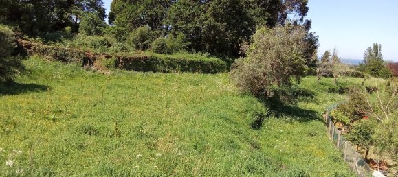 Terrain à Caminha, Portugal 2310m² No. 58691 3